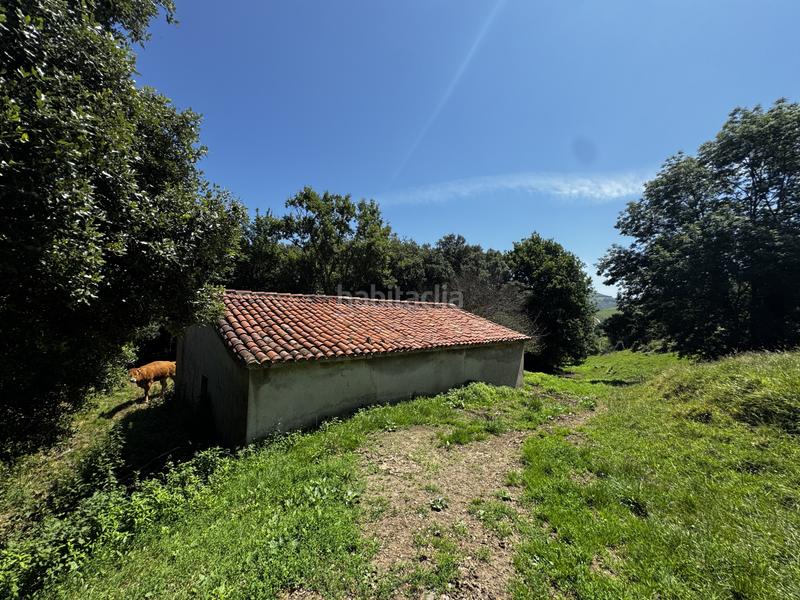 Foto ddedf6e8-5d9e-4829-ae99-230caffdf6af. Haus in matienzo - bº la vega in Miera