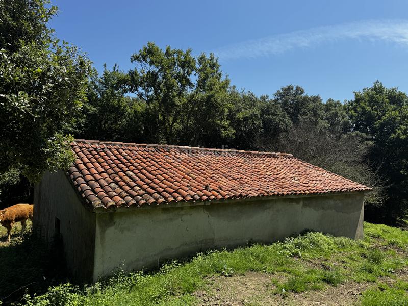 Foto fcb2753f-5981-40f2-806d-3b8a50e299fd. Haus in matienzo - bº la vega in Miera