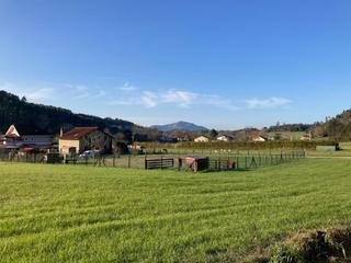 Residential Plot in Omoño - mies de bocilla sn. Venta parcela omoño ribamontan al monte