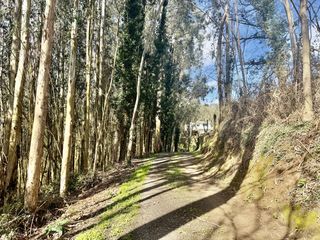 Casa  Beranga - b� el carite. Casa en venta en beranga