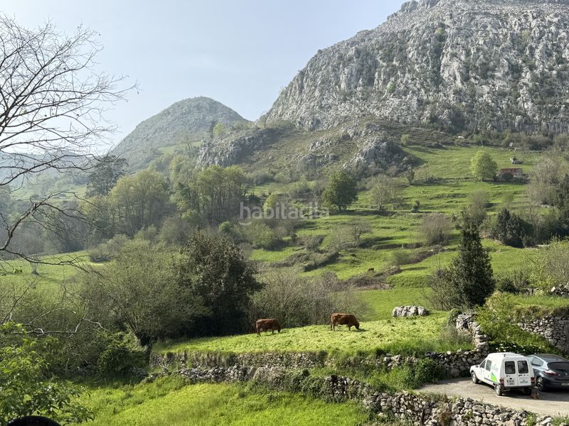 Foto c60dcdfc-5022-474a-813b-2b06cc572f58. Casa a cantolla la - bo la cantolla 40 a Miera