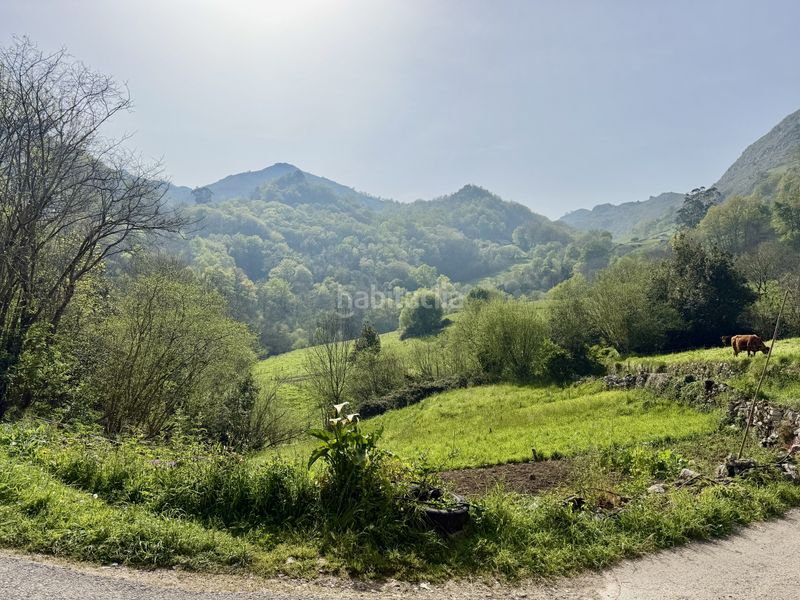 Foto d161e4a2-cb37-469f-bdff-67d0aec66e34. Casa a cantolla la - bo la cantolla 40 a Miera