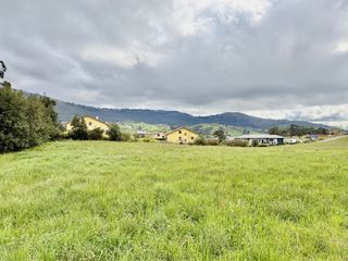 Finca rústica en Pontejos - bo pontejos-la sierra 219. Terreno urbano en venta en pontejos