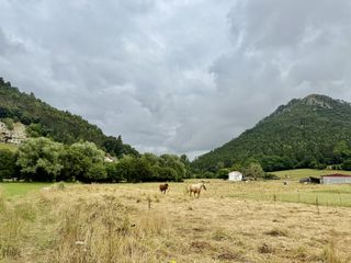 Finca rústica a Sobremazas - Barrio Rioz
