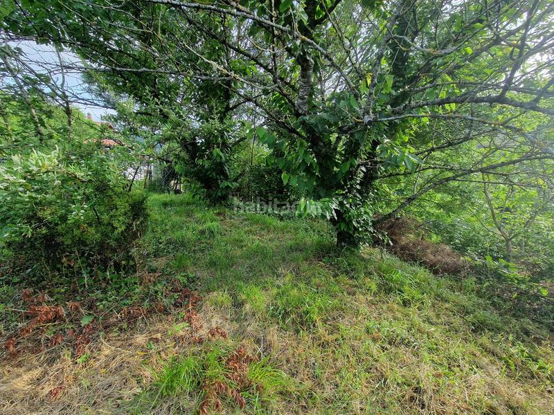 Foto 26a5ee17-2101-416a-96c3-6362f0f350c1. Terreny residencial a Iza