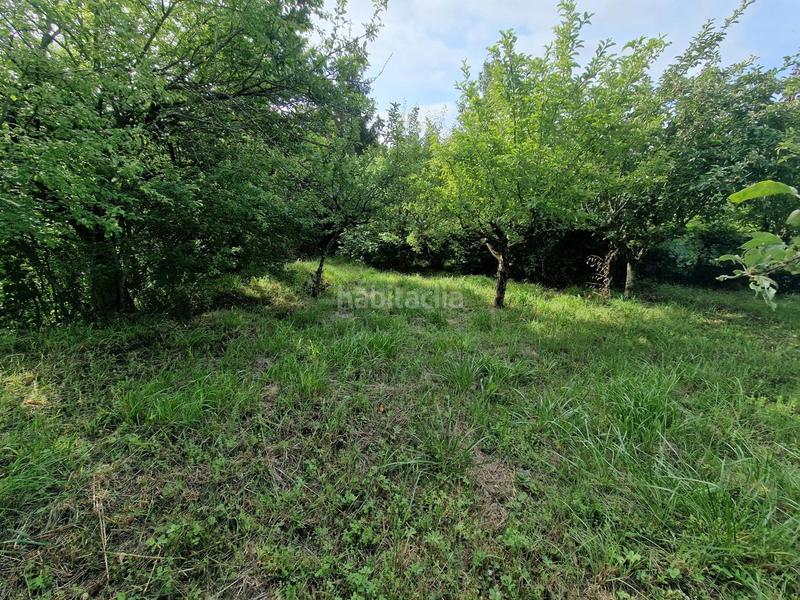 Foto 95ed36ff-73d2-42a3-8317-1e73fdd7481d. Terreny residencial a Iza