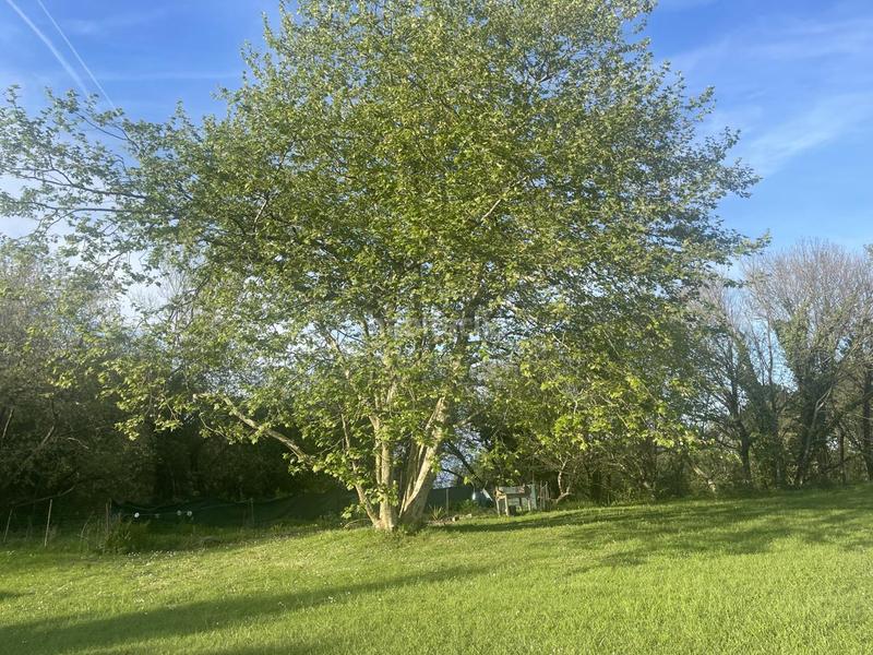 Foto 5f656003-2534-40b0-843a-a2eabb7a1505. Casa pareada en Igeldo Donostia - San Sebastián