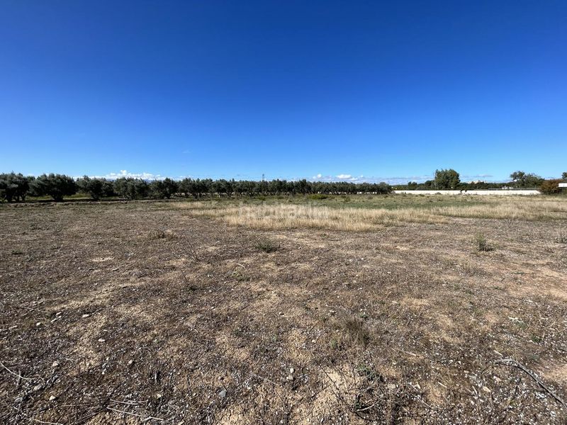 Foto 67c479e0-870a-4650-98ff-b8d03cd33fdc. Terreno residencial en Griseras - Gardachales Tudela