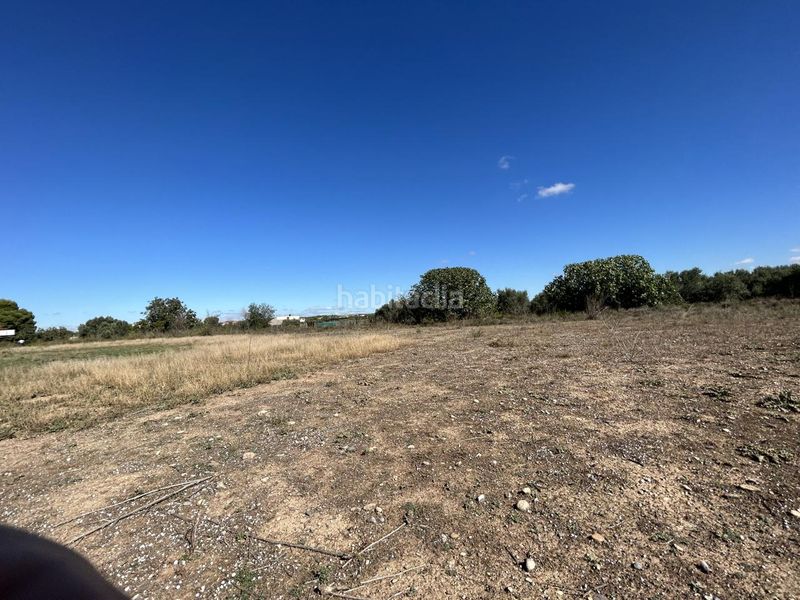 Foto 95b0c154-fa7c-472b-bd52-7f712cc7f118. Terreno residencial en Griseras - Gardachales Tudela