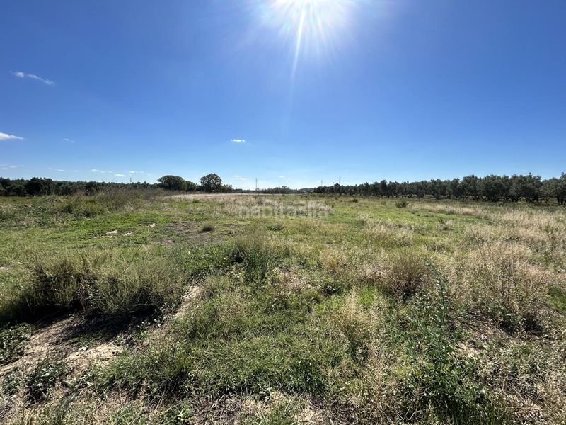 Foto c3897604-c098-4598-98f0-02b2fce5a037. Terreno residencial en Griseras - Gardachales Tudela