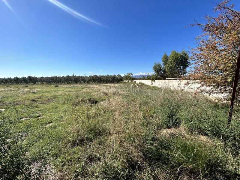 Foto e9a6fec3-9822-4a02-8768-82bd7a66257f. Terreno residencial en Griseras - Gardachales Tudela