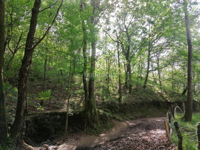 Foto 9be40303-55f2-4189-ad28-3a9cd4dea251. Terreno residenziale in Oiartzun