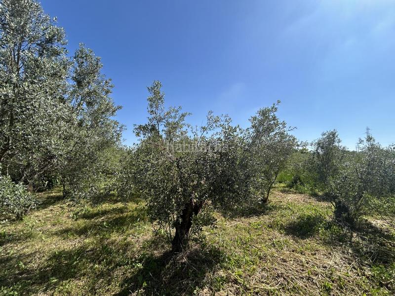 Foto bd667a20-b1aa-4611-939a-3fc59be58cd7. Bauernhof mit pool in Centro Tudela