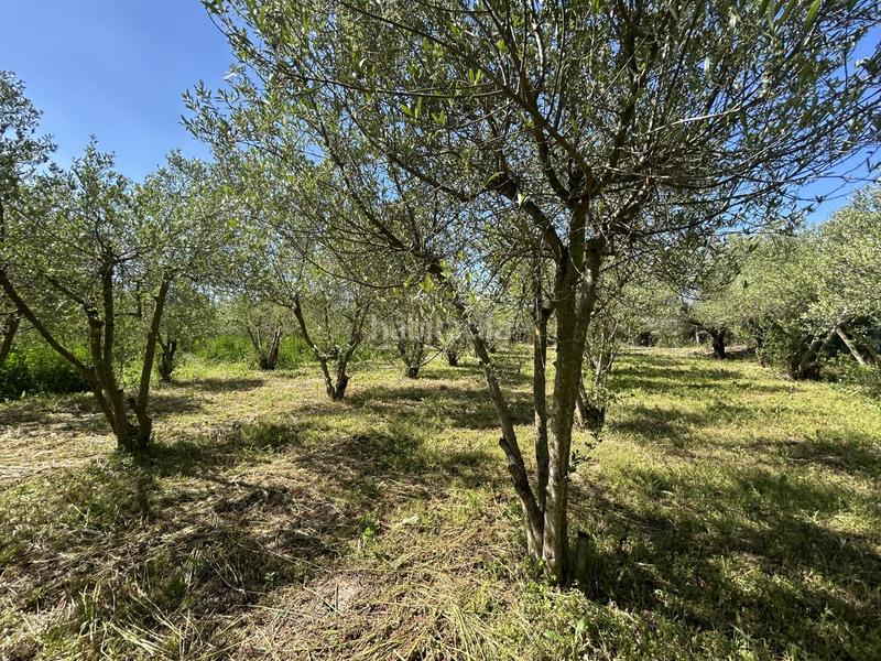 Foto e46c0401-681d-4bd0-ae0a-e2bdaeb79051. Bauernhof mit pool in Centro Tudela