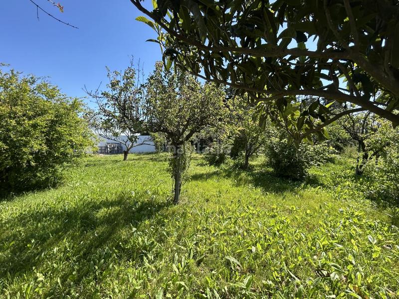 Foto 0cab8493-0176-4644-a045-c74577c4dd2a. Country house with pool in Centro Tudela