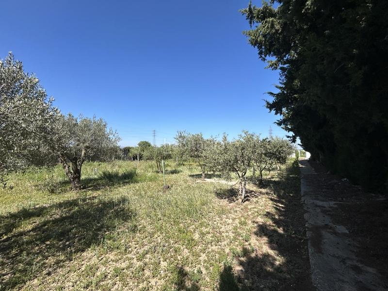 Foto 14edeac8-e4b0-4ff0-b43f-7e7a3492166d. Country house with pool in Centro Tudela