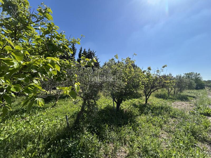 Foto 1be4d755-9c49-411b-891d-9cc29a91063a. Country house with pool in Centro Tudela