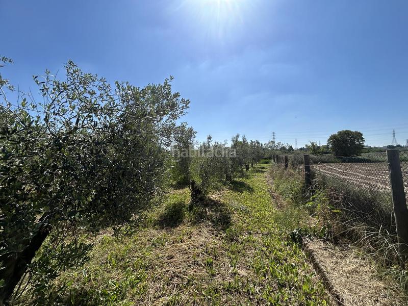 Foto 665d5772-1f3a-42ed-9f7f-24a71211364b. Country house with pool in Centro Tudela