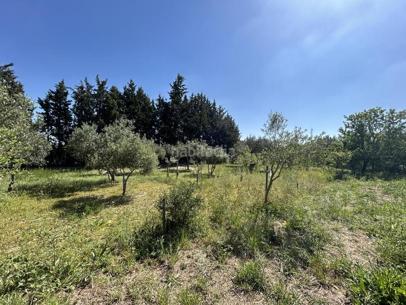 Foto 96922763-4884-4dc8-9b9d-ec4c8a35c304. Country house with pool in Centro Tudela