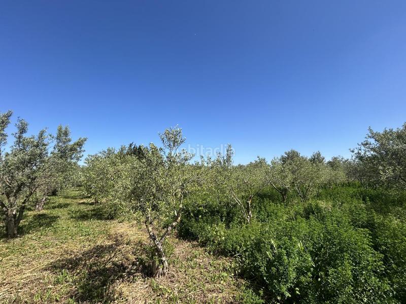 Foto a37a8cfd-bc67-49a5-9cba-17e9588ac967. Country house with pool in Centro Tudela