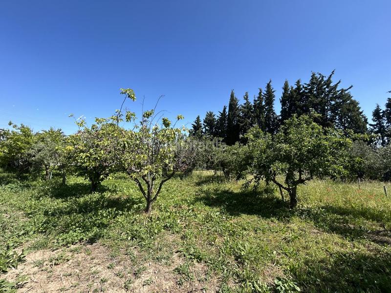 Foto d031de6f-f7ca-4de7-a5c3-a8eb6b10e28c. Country house with pool in Centro Tudela