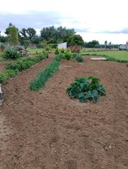 Residential Plot  Lerin