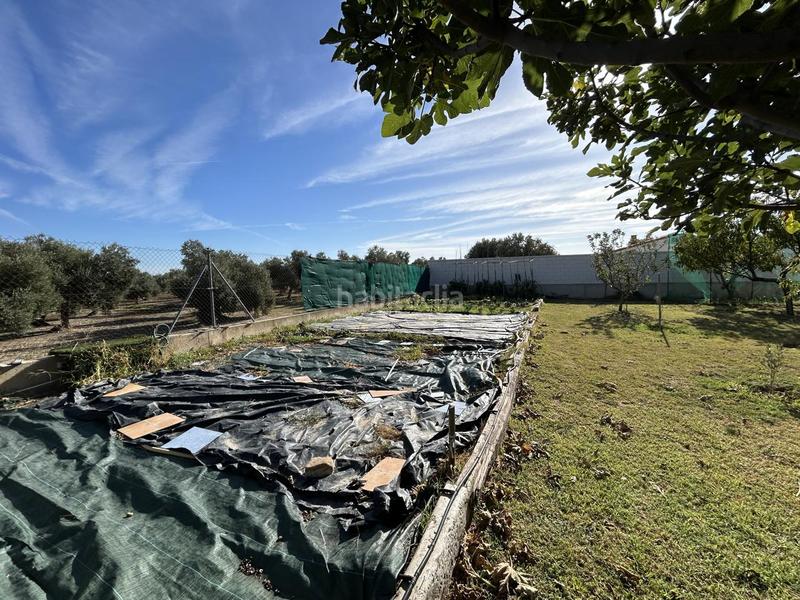 Foto ece74e33-e512-47f0-8da6-6982e7a5a4d0. Bauernhof in Barillas