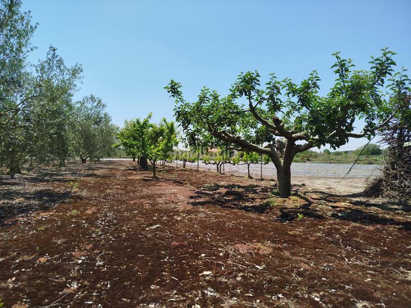 Foto 45241798-0482-48b5-bbf7-7bf8b7e07e67. Landgut in Lerín