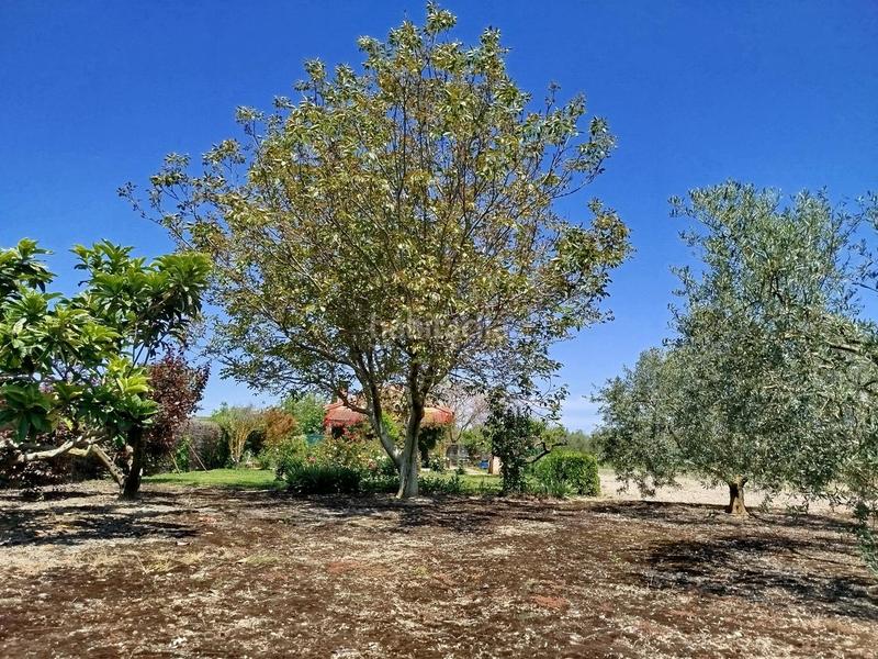 Foto 65809d47-064d-4310-b978-20fdd805f6e2. Landgut in Lerín