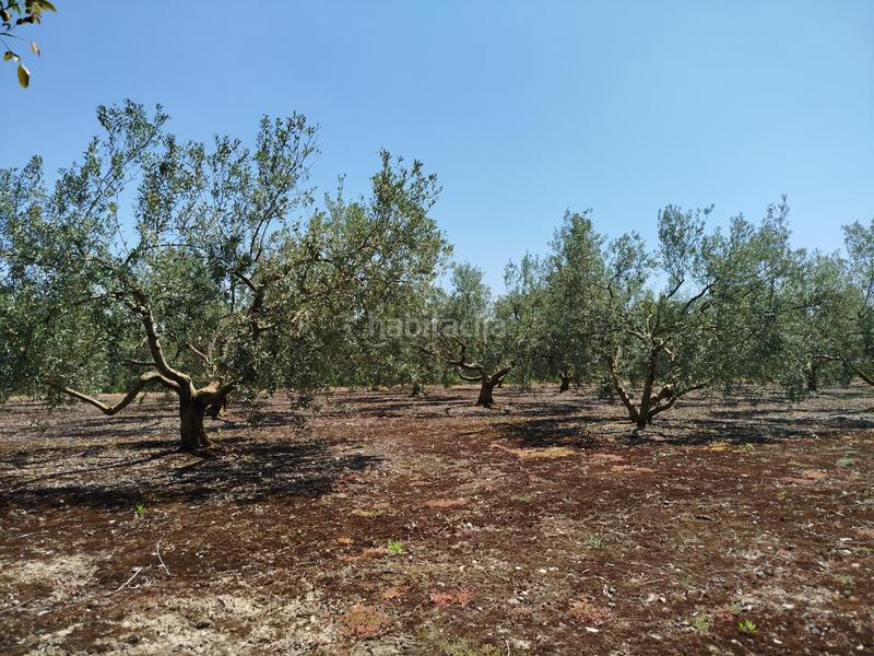 Foto 82af6b50-b1ca-4d34-b4c9-1f1c887569b2. Landgut in Lerín