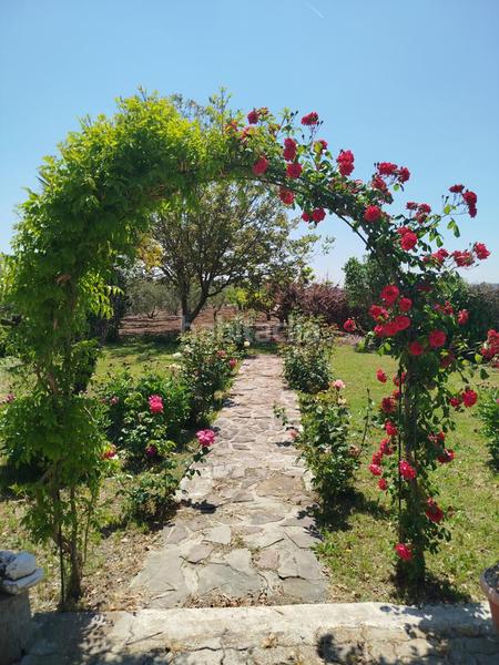 Foto 83a39785-546f-49b1-9ae6-7f78dcf5200c. Landgut in Lerín