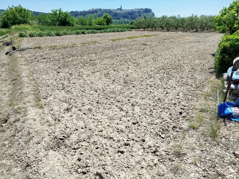 Foto 964334fc-3472-4380-b087-e6e73f0eefe1. Landgut in Lerín