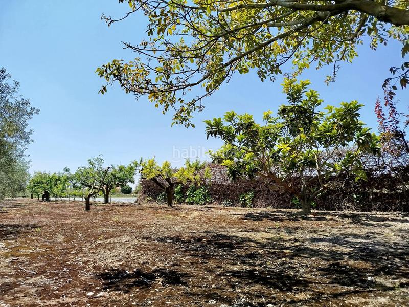 Foto 29c4e7b9-0400-46b8-9605-738580b5bdbc. Finca rústica a Lerín