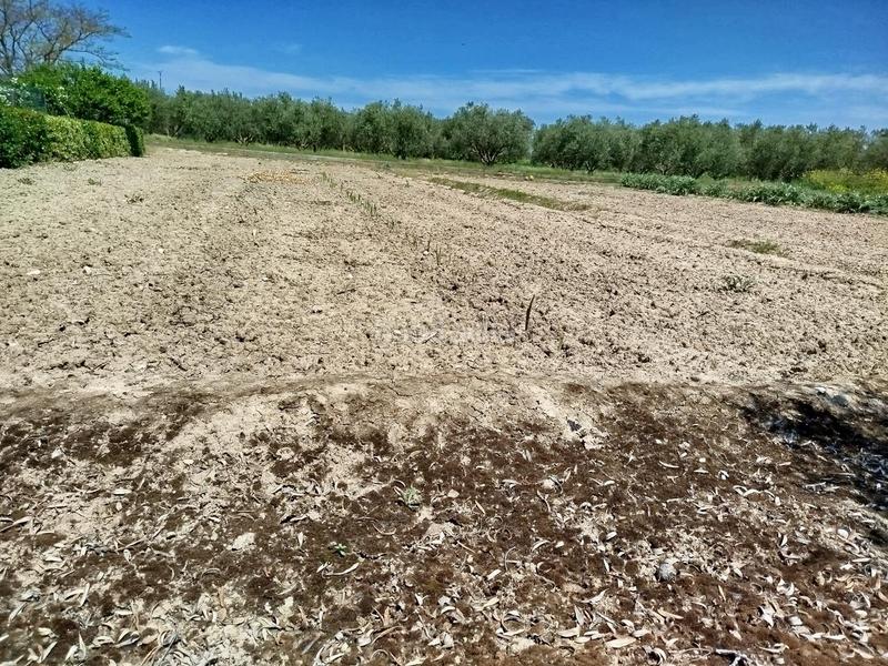 Foto 39d73bb8-5c6d-4978-8142-fc13dbfadb39. Finca rústica a Lerín