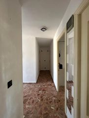 House  Doctor larrad