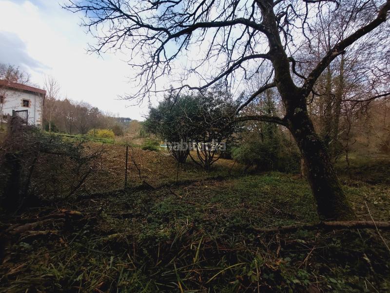 Foto af00a1bd-e6c6-426f-baf7-f07d69b96aa1. Masia a Morga