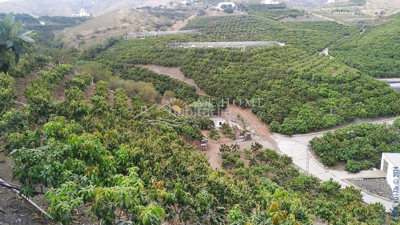 Foto 24f6accc-82ee-4055-b02d-57ce31679f06. Terreno residenziale in Hispanidad - Vivar Téllez Vélez - Málaga