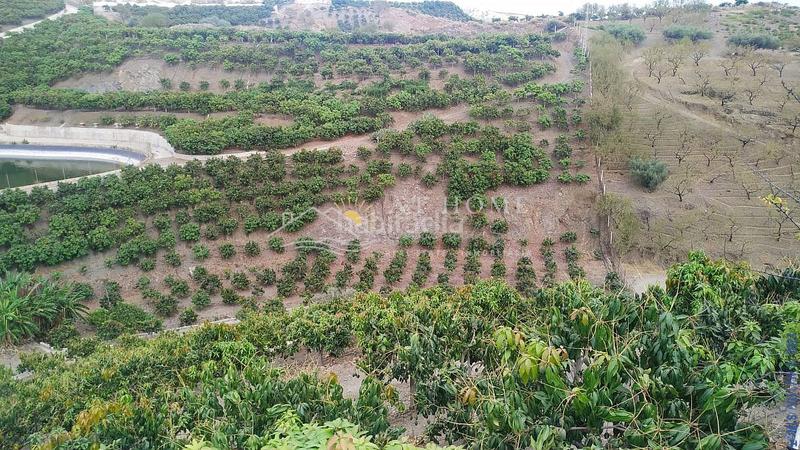 Foto f19303e3-a868-4276-bc18-20cabd7181b3. Terreno residenziale in Hispanidad - Vivar Téllez Vélez - Málaga