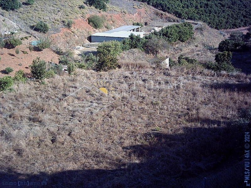 Foto d3fbc841-643f-4cbb-9589-07ca8428730e. Masía precioso chalet en el campo cerca de la costa en Almayate Bajo