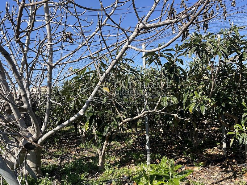 Foto a3047e15-ebac-40eb-8b8d-f46e512b94ff. Casa in El Peñoncillo Torrox