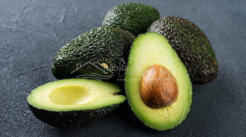 Foto 01e48df7-677b-420b-ab81-3541b9d0331d. Wohngrundstück in Centro Nerja