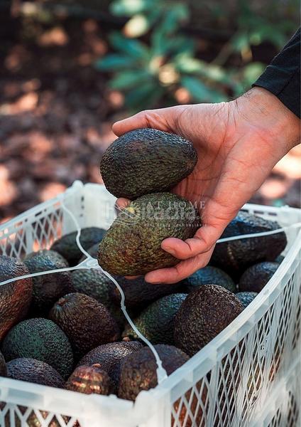 Foto b2ac1008-610c-4e64-af5b-e2d3afd736a1. Wohngrundstück in Centro Nerja