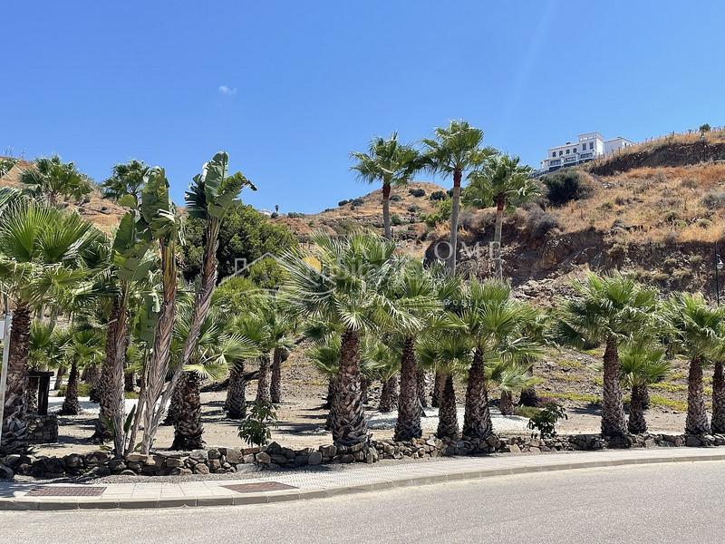 Foto 355b7004-af70-4fd8-9e46-c4305efe59ee. Alquiler apartamento piso en alquiler con vistas al mar en Torrox