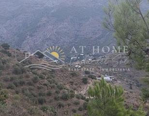 Terreny residencial a Canillas de Aceituno. Terreno rustico en canillas de aceituno