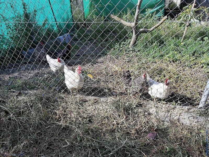 Foto 58c7bd22-6578-45a0-856e-1b9aecad1a14. Casa con parcheggio piscina in Centro Nerja