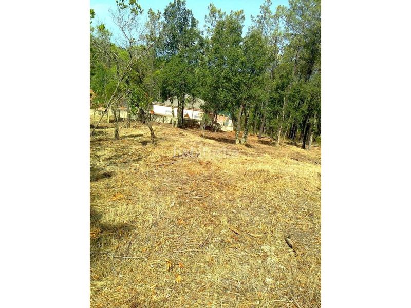 Foto e84d97b1-48a2-4af0-a263-b7b08ca02a00. Finca rústica a Caldes de Malavella