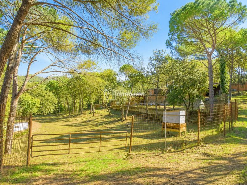 Foto 87dbc3fa-976e-4f1e-a4dc-cf877ad78285. Casa amb calefacció piscina a Cassà de la Selva