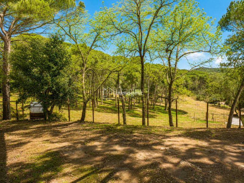 Foto dc67d48c-7d60-4cff-9508-9f796f0a1c57. Casa amb calefacció piscina a Cassà de la Selva