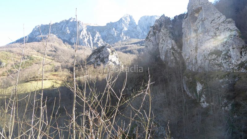 Foto 0e388840-e643-4734-901c-9ecf85a7ad10. Finca rústica a riospasos a Lena