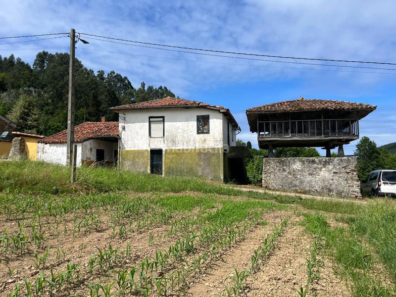 Foto 0431cb17-418e-42ed-a4cf-b4b20cd7b5f8. Casa in soto de luiña - pramaro in Cudillero
